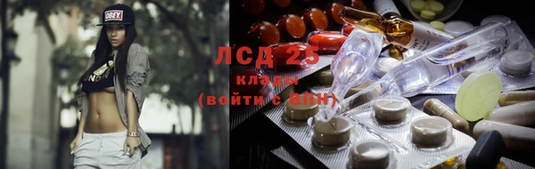 тгк Медвежьегорск