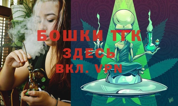 стаф Медногорск