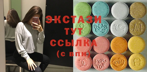 стаф Медногорск