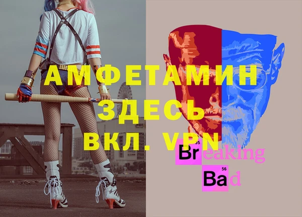 амф Верхний Тагил