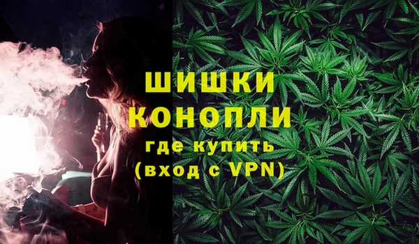 стаф Медногорск