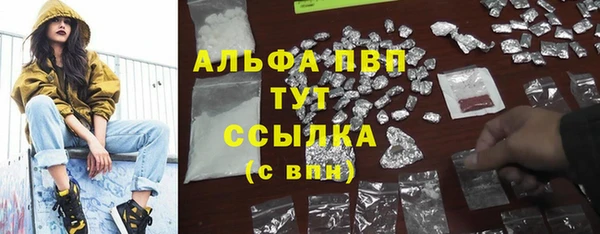 стаф Медногорск