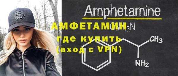 стаф Медногорск