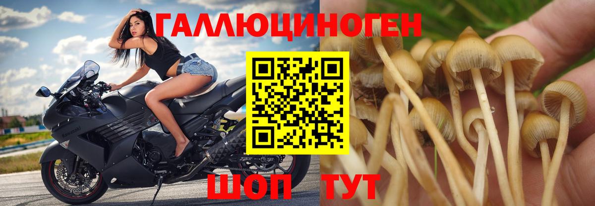 Галлюциногенные грибы ЛСД  Галлюциногенные грибы Psilocybine cubensis  Вход с VPN  Юрга 